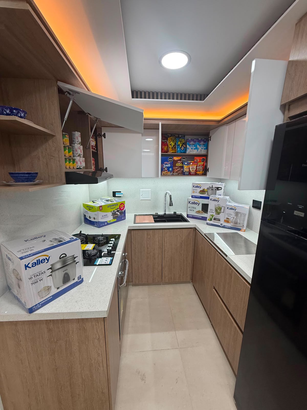 Cocina equipada con electrodomésticos